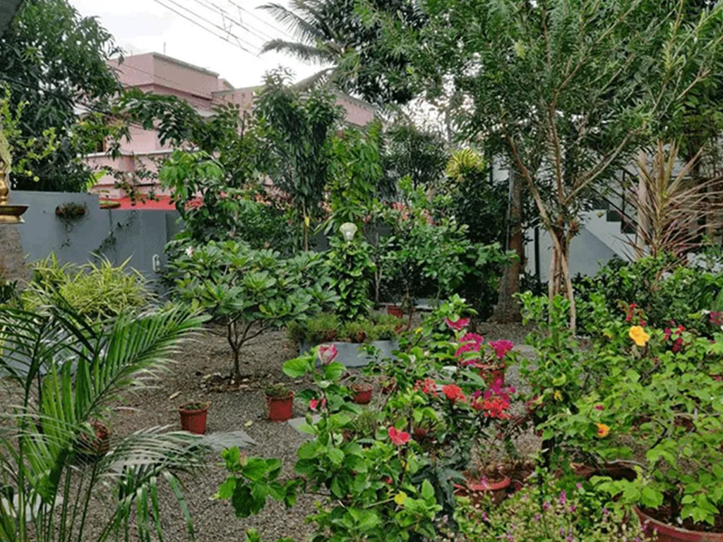 Room View 10